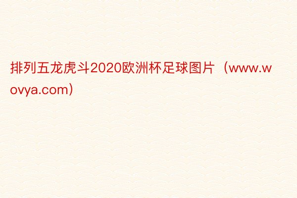排列五龙虎斗2020欧洲杯足球图片(www.wovya.com)