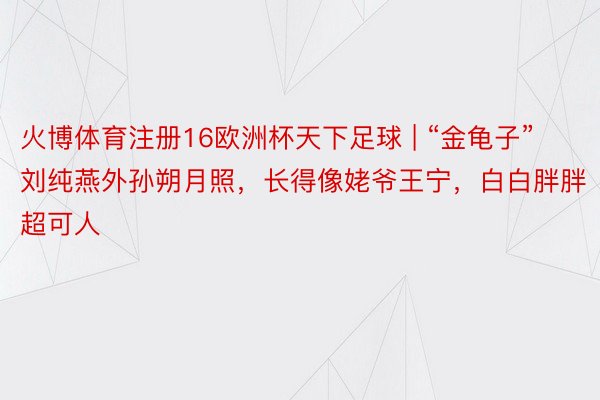 火博体育注册16欧洲杯天下足球 | “金龟子”刘纯燕外孙朔月照，长得像姥爷王宁，白白胖胖超可人