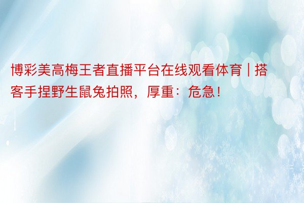 博彩美高梅王者直播平台在线观看体育 | 搭客手捏野生鼠兔拍照，厚重：危急！