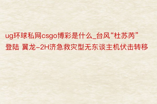 ug环球私网csgo博彩是什么_台风“杜苏芮”登陆 翼龙-2H济急救灾型无东谈主机伏击转移