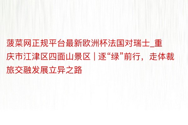菠菜网正规平台最新欧洲杯法国对瑞士_重庆市江津区四面山景区 | 逐“绿”前行，走体裁旅交融发展立异之路