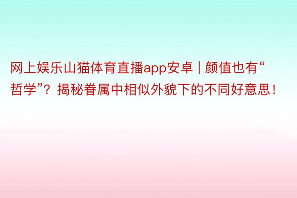网上娱乐山猫体育直播app安卓 | 颜值也有“哲学”？揭秘眷属中相似外貌下的不同好意思！