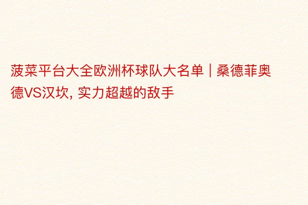 菠菜平台大全欧洲杯球队大名单 | 桑德菲奥德VS汉坎, 实力超越的敌手
