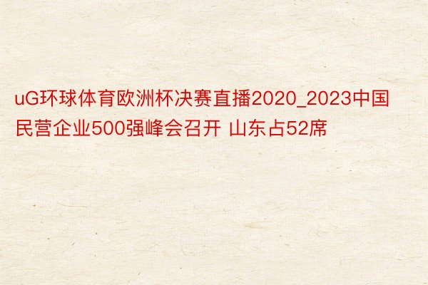 uG环球体育欧洲杯决赛直播2020_2023中国民营企业500强峰会召开 山东占52席