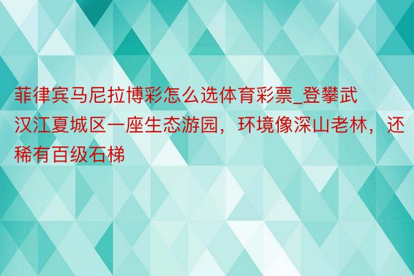 菲律宾马尼拉博彩怎么选体育彩票_登攀武汉江夏城区一座生态游园，环境像深山老林，还稀有百级石梯